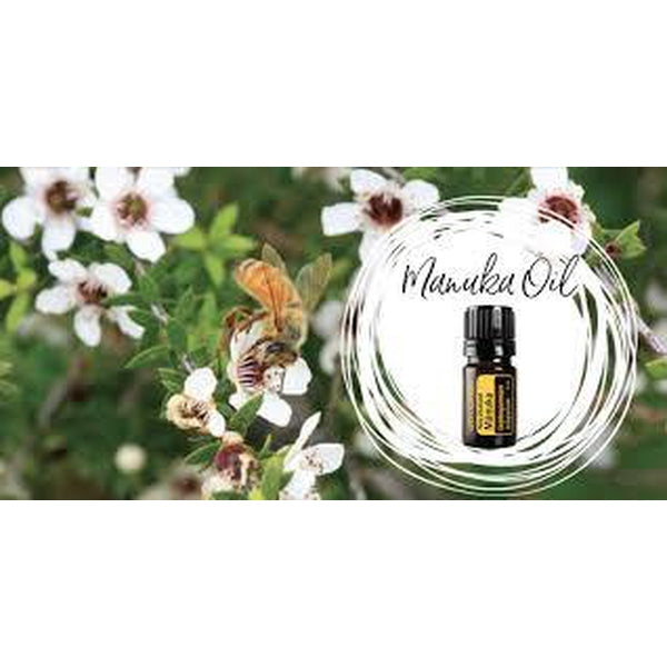 The Buzz About Manuka Oil - Myth or Miracle? Article by Claire Galea