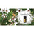 The Buzz About Manuka Oil - Myth or Miracle? Article by Claire Galea