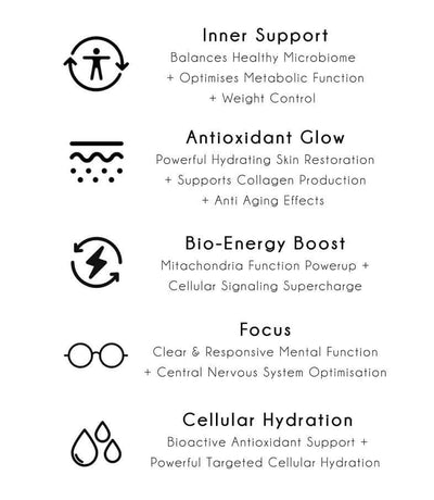 Hydrogen Water Filtration System Details