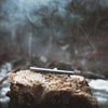 Monq forest blend on a rock