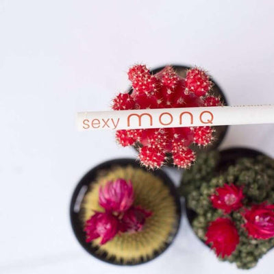 Monq Sexy diffuser on top of cactus